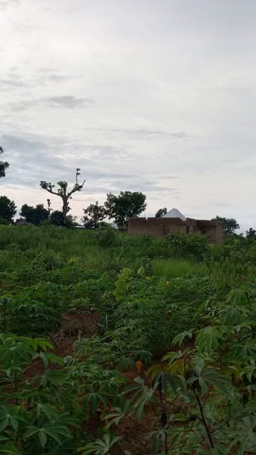Additional view of Land for Sale in Agbile, Gboko