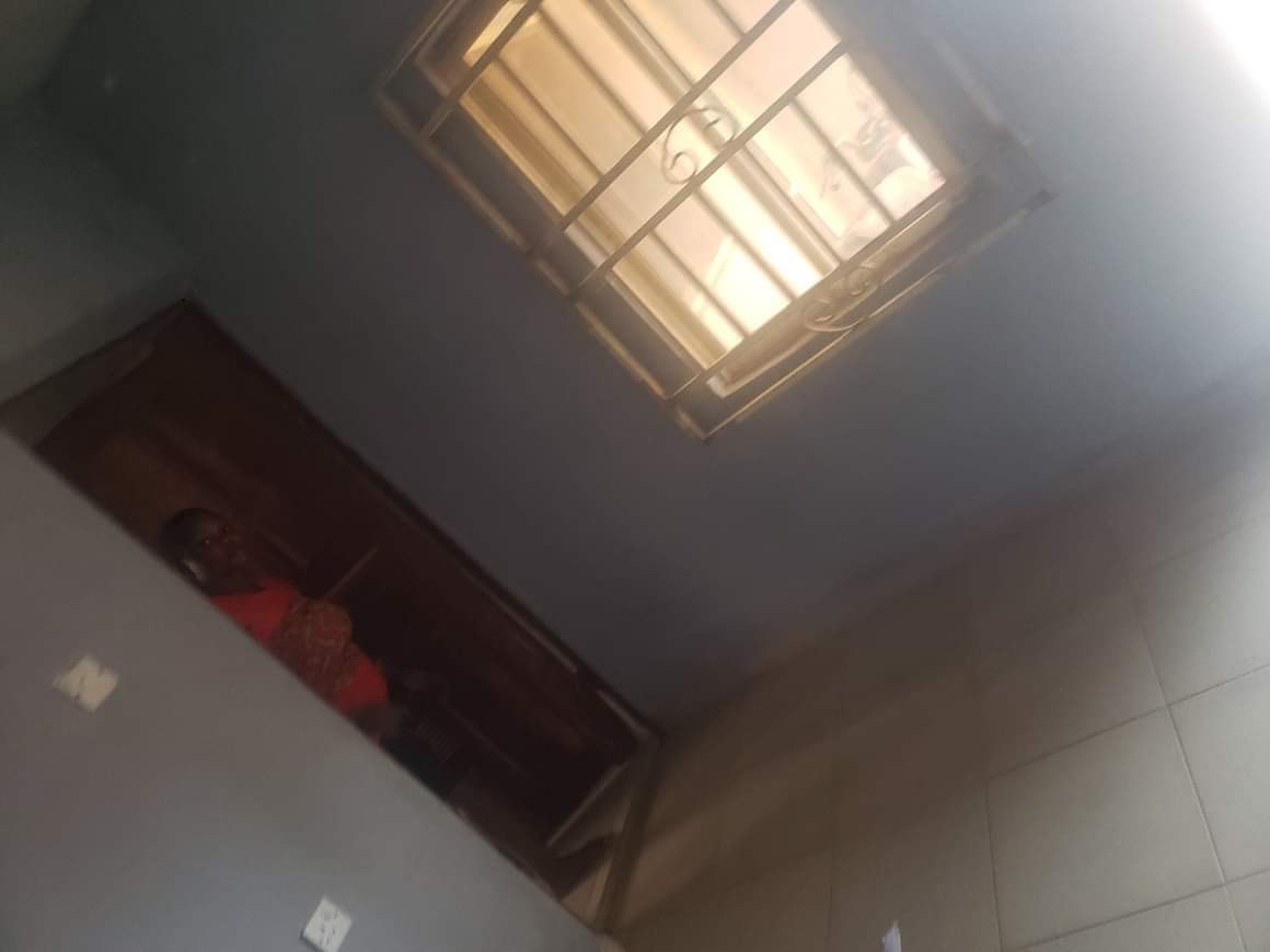 Additional view of One Bedroom Apartment for Rent