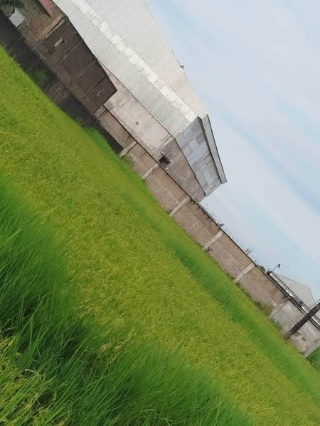 Additional view of Industrial Layout Land