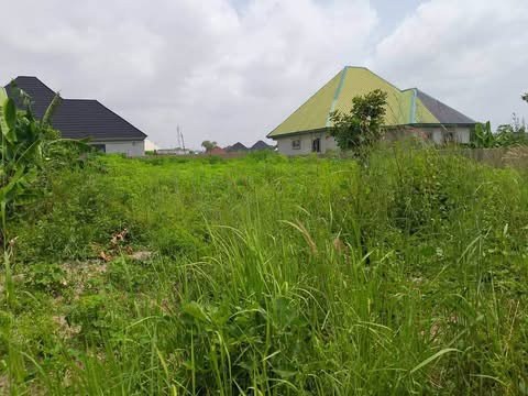 Additional view of 100x50 Plot of Land in Adeke