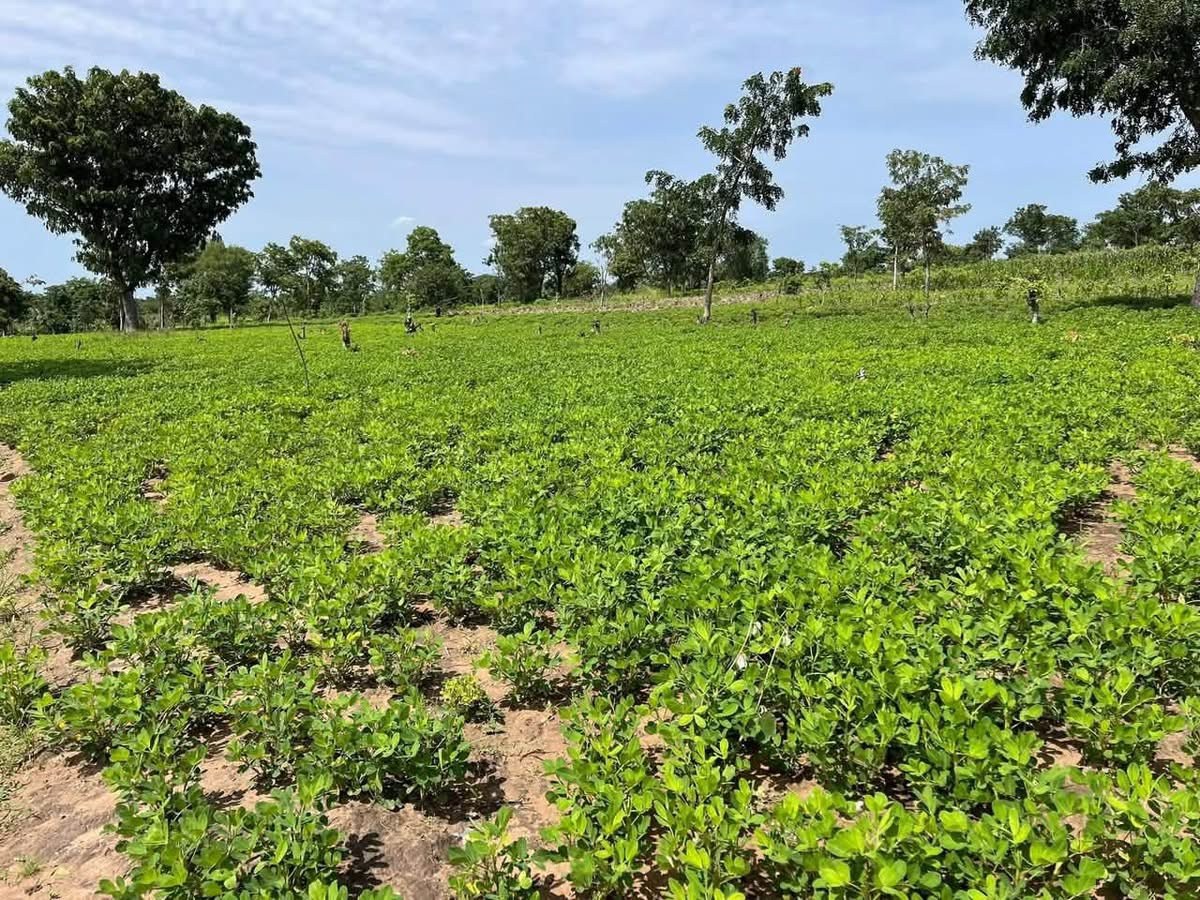 Prime Land for Sale in Mbaikya, Makurdi for sale in Mbaikya, Makurdi, Benue