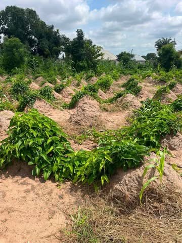 Additional view of Land for Sale