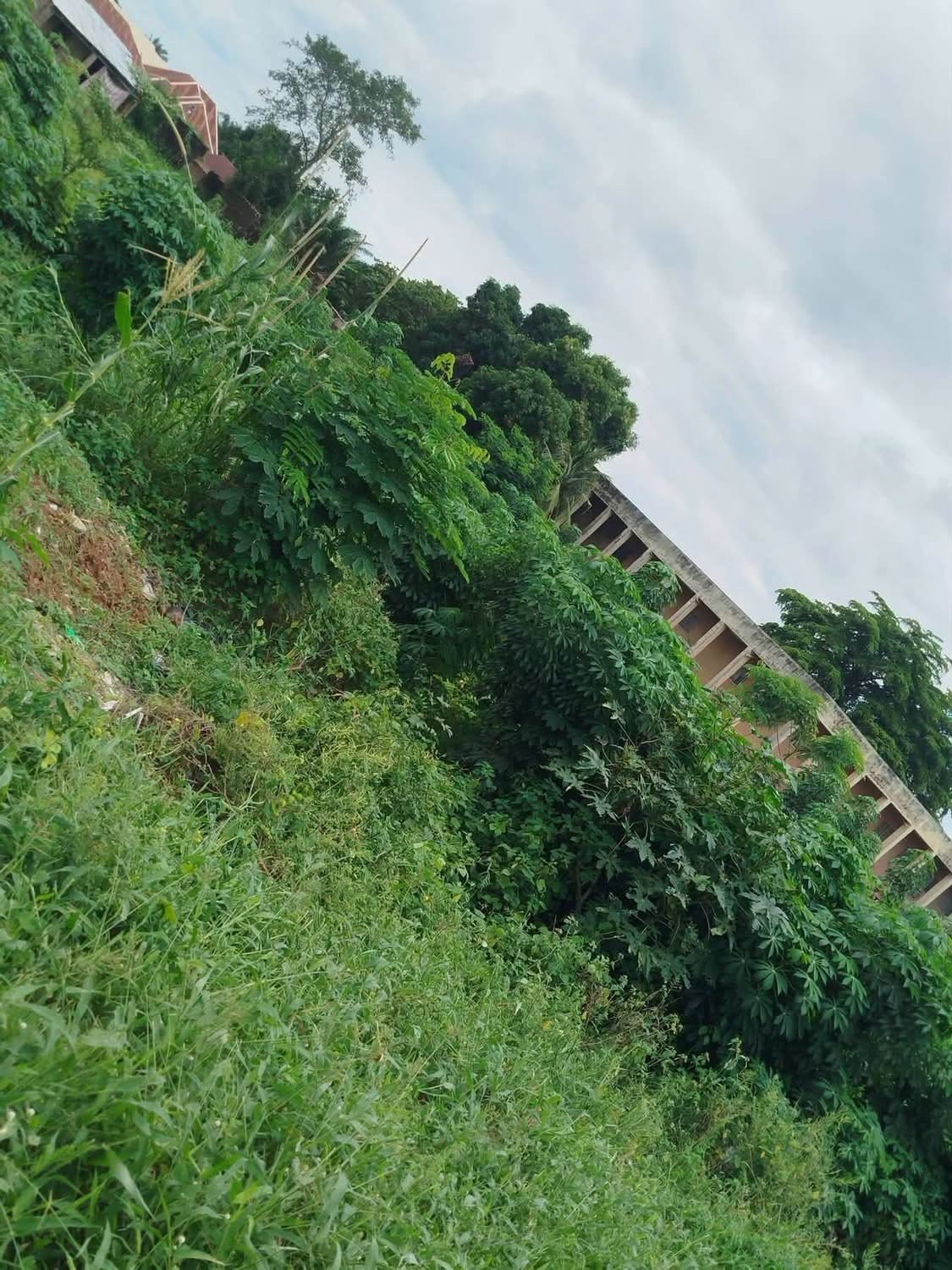 8 Plots Facing Tarred Road Makurdi for sale in Old Otukpo Road, Makurdi, Benue