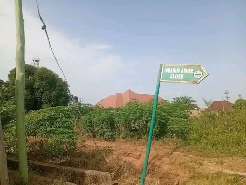 Additional view of 100 by 100 Plot of Land