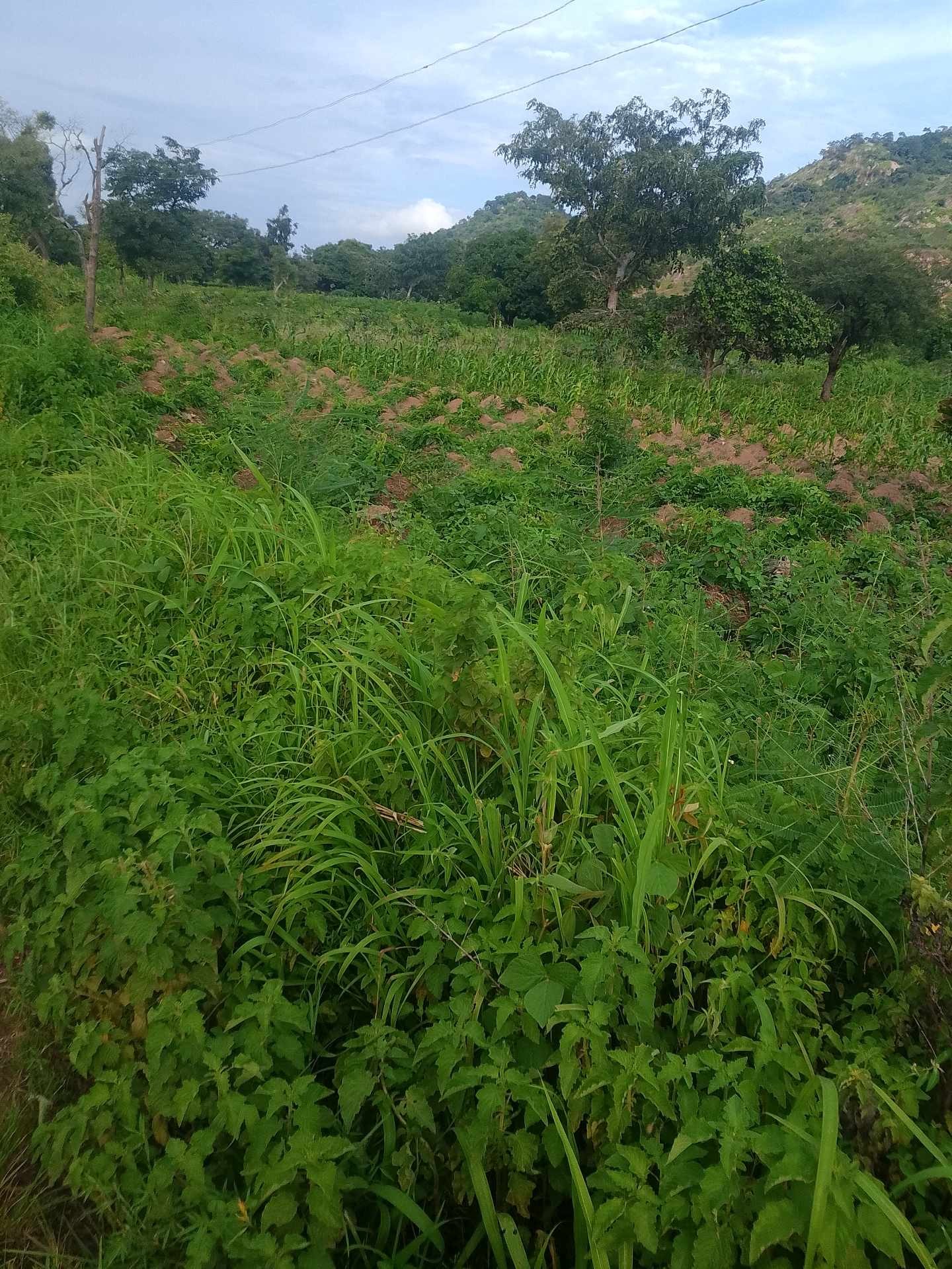 Additional view of Residential Land Plots For Sale