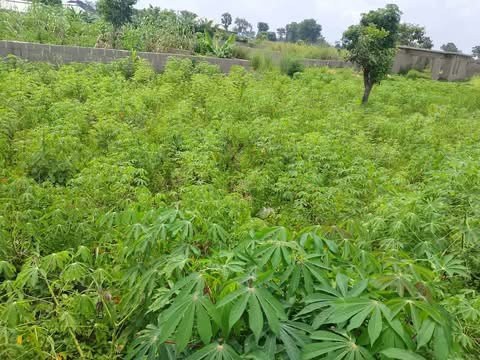 Additional view of 100x50 Plot of Land in Adeke