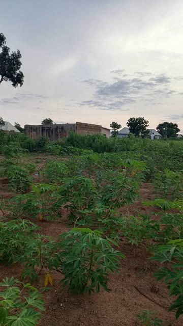 Additional view of Land for Sale in Agbile, Gboko
