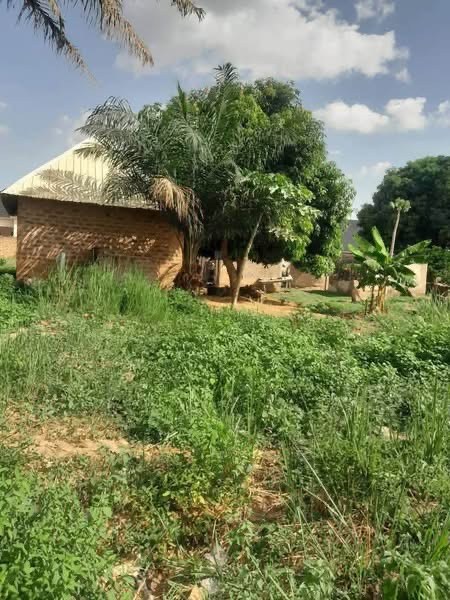 Additional view of Prime Land for Sale at International Market