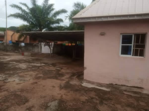 Additional view of One Bedroom Flat for Rent