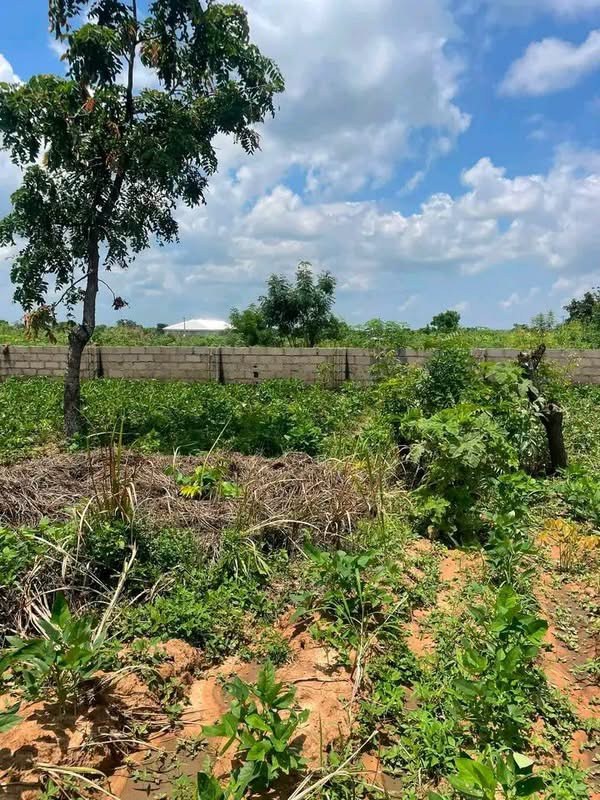 Spacious Land at Welfare Quarters for sale in Welfare Quaters Extension, Makurdi, Benue
