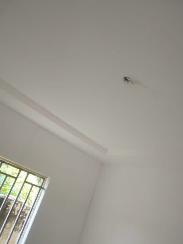 Additional view of Newly Built One Room Self Contain