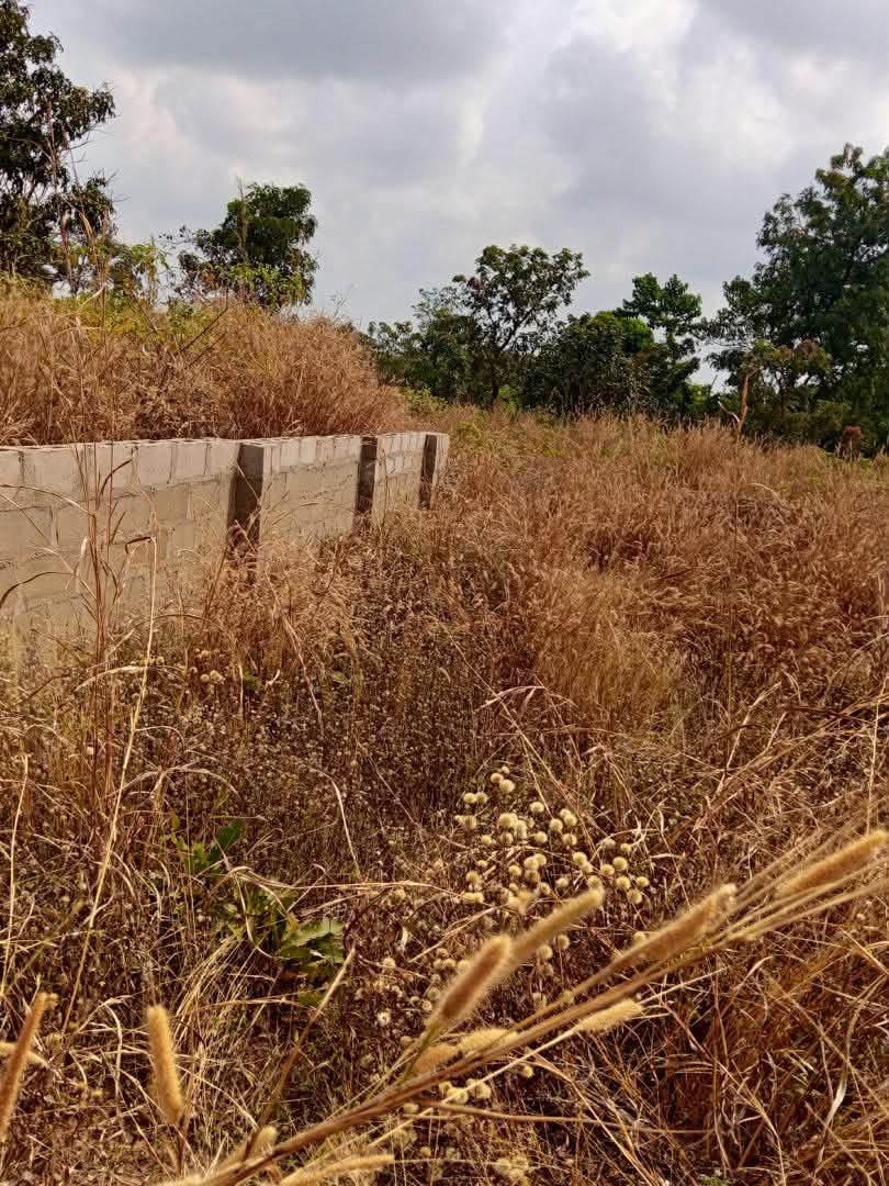 Additional view of 100/100 Plot of Land for Sale