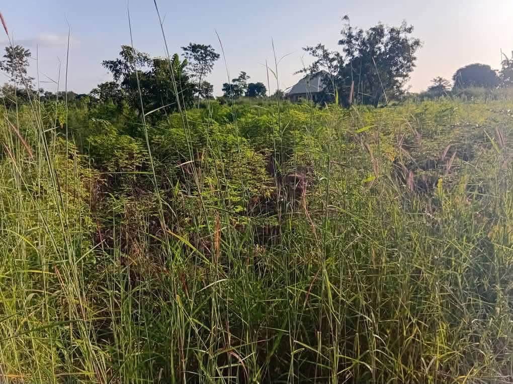 50x50 Plot of Land for Sale for sale in Mbaikya, Makurdi, Benue