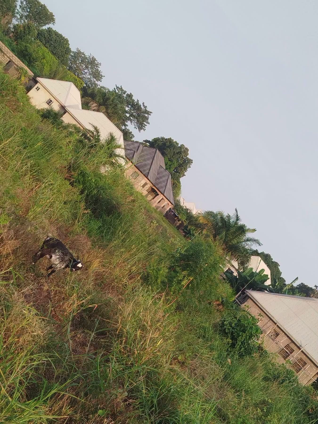 Additional view of Spacious 100x100ft Plot in Yaikyor