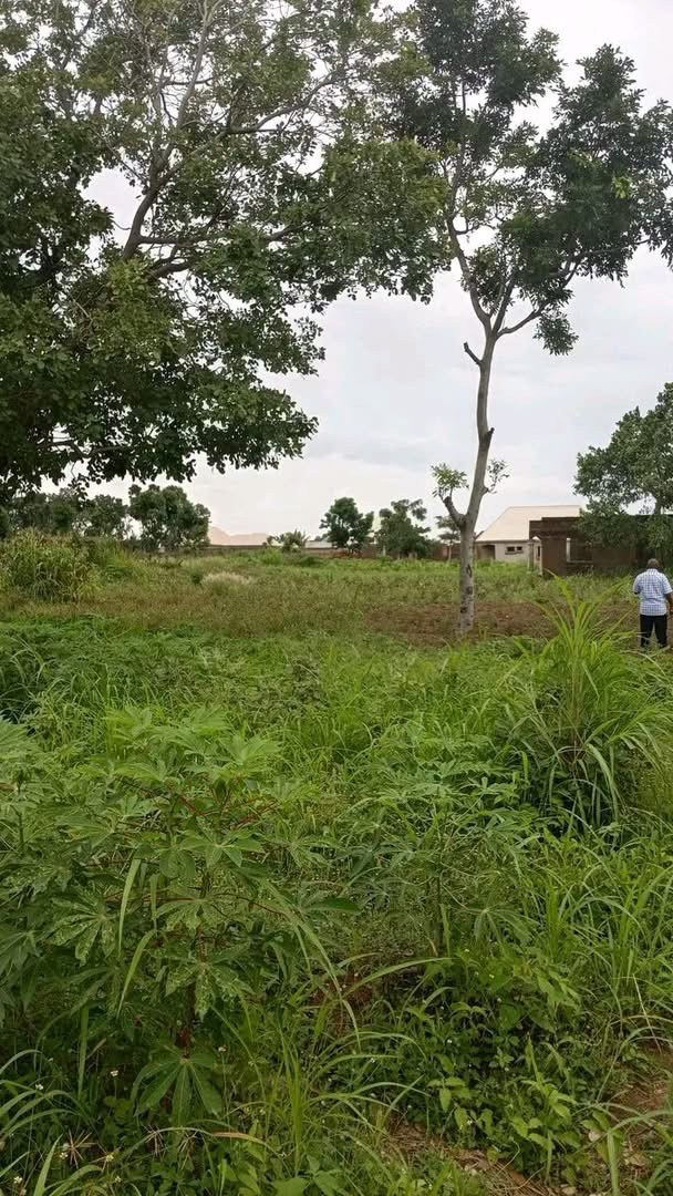 Additional view of Prime Land for Sale Gboko North