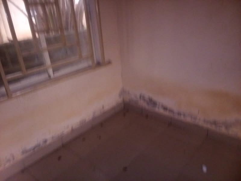 Additional view of Self-Contain for Rent at Gaadi Layout