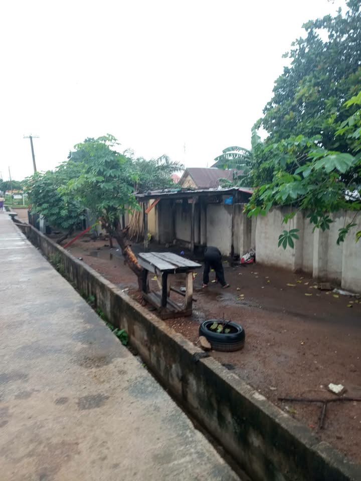 Additional view of Commercial Land For Sale