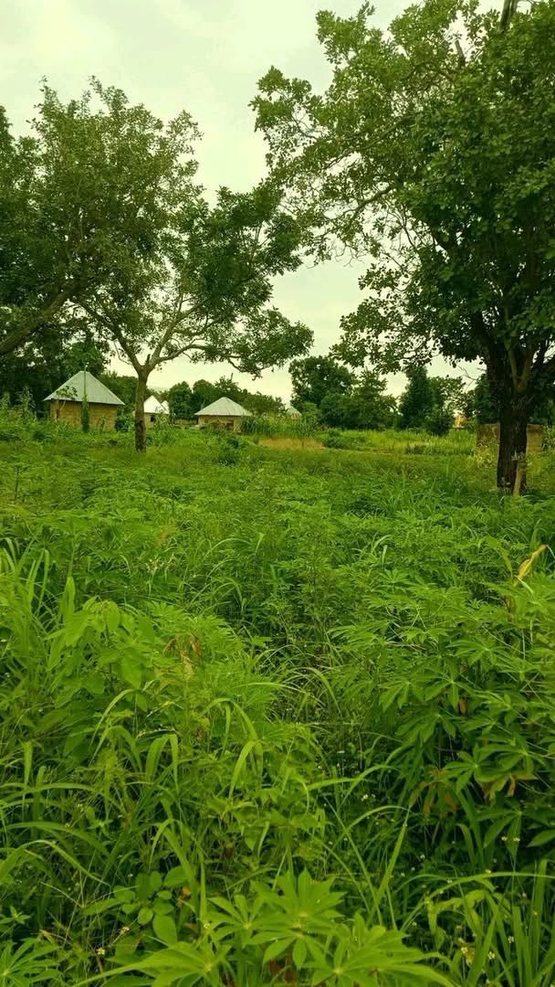 Prime Land for Sale Gboko North for sale in Gboko north, Gboko, Benue