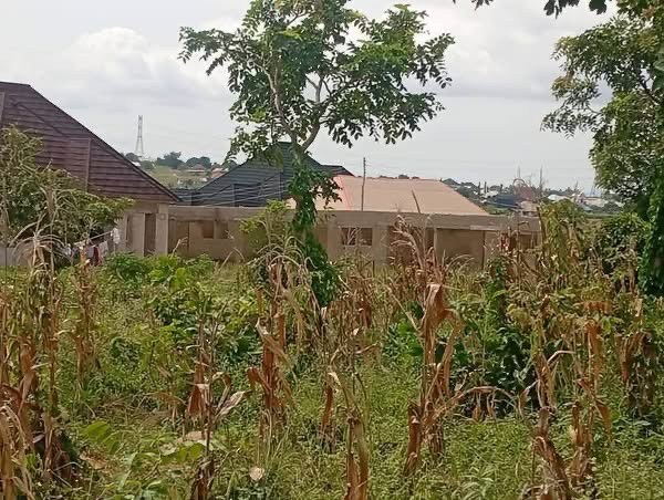 Additional view of 100x100 Plot of Land for Sale