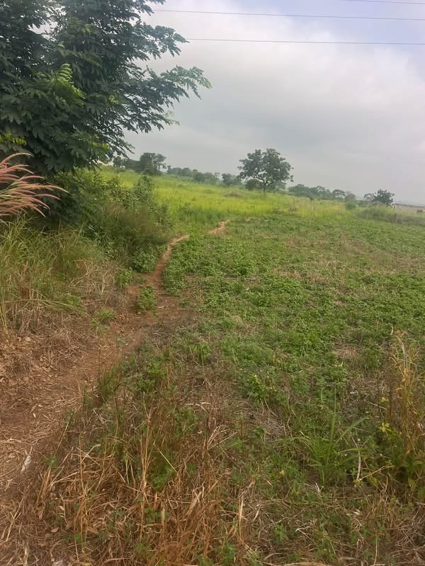 Additional view of Plots of Upland for Sale