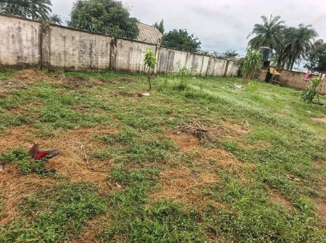 Additional view of Modern 2 Bedroom House for Sale