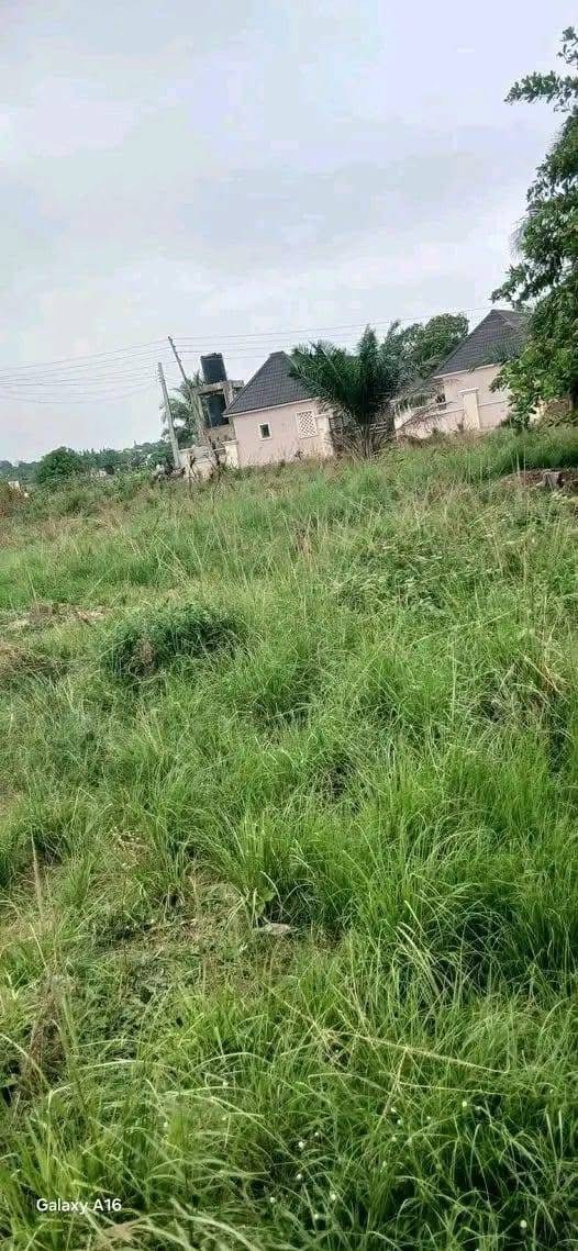 Additional view of Spacious Land Facing Suswam Road Makurdi
