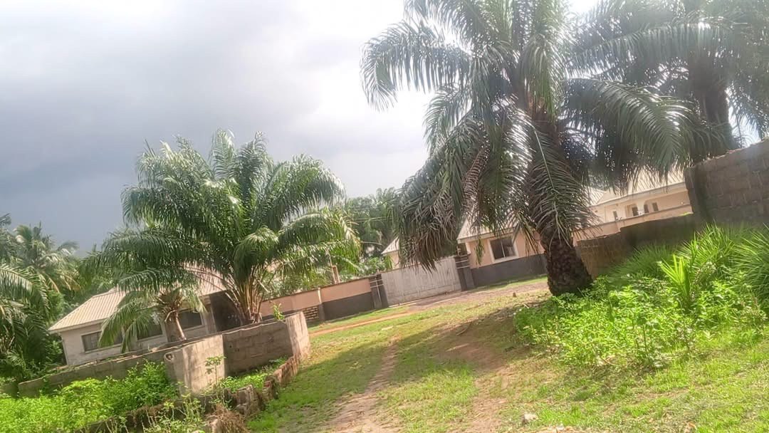 Additional view of Land with Flats and Foundation Makurdi