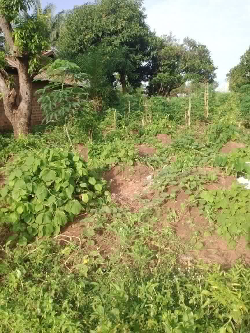 Additional view of Strategic Plot of Land for Sale