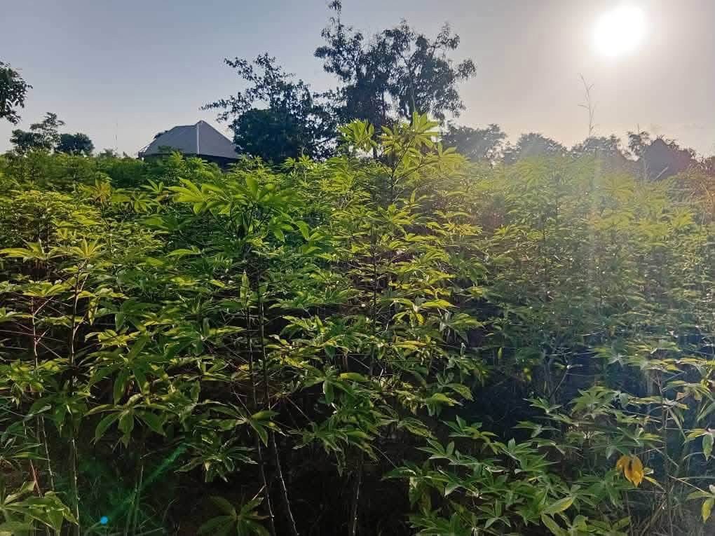 Additional view of 50x50 Plot of Land for Sale