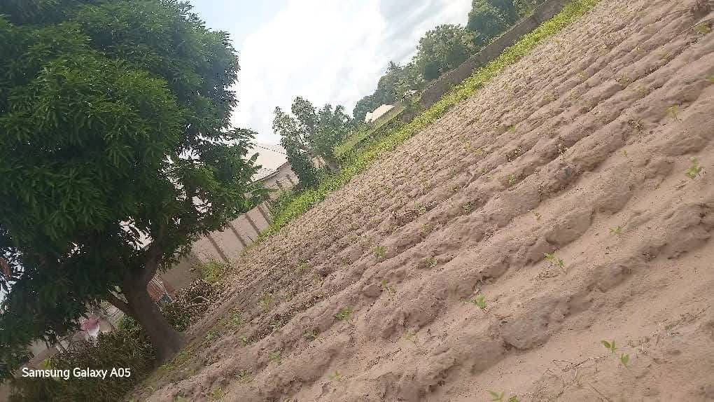 Additional view of 100x100 Plot of Land for Sale