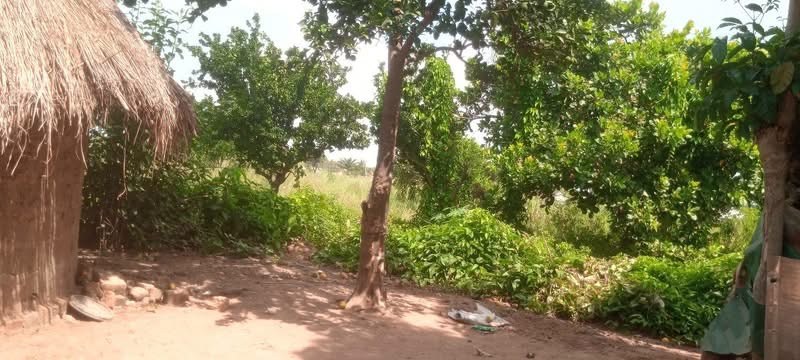 Additional view of Dry Table Land for Sale