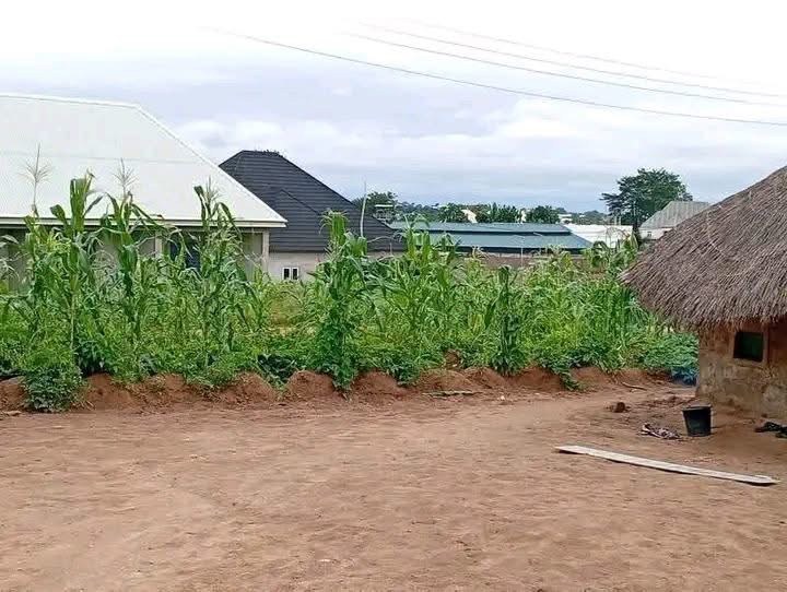 Additional view of Strategic Land for Sale in Tse Poor