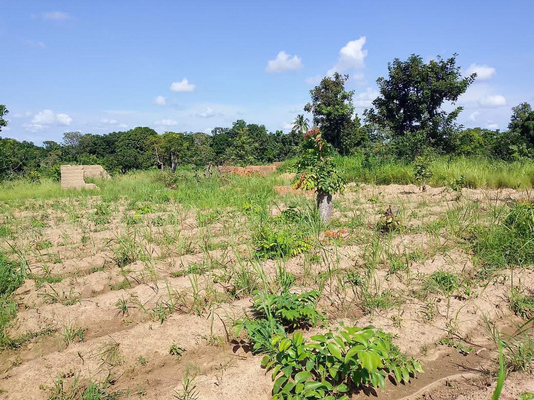 Additional view of Plot of Land with Well in Mkar