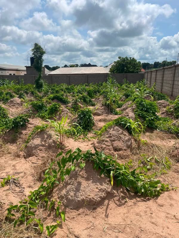Additional view of Land for Sale