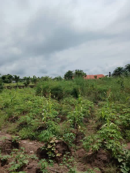 Additional view of 2400sqm Fenced Land for Sale