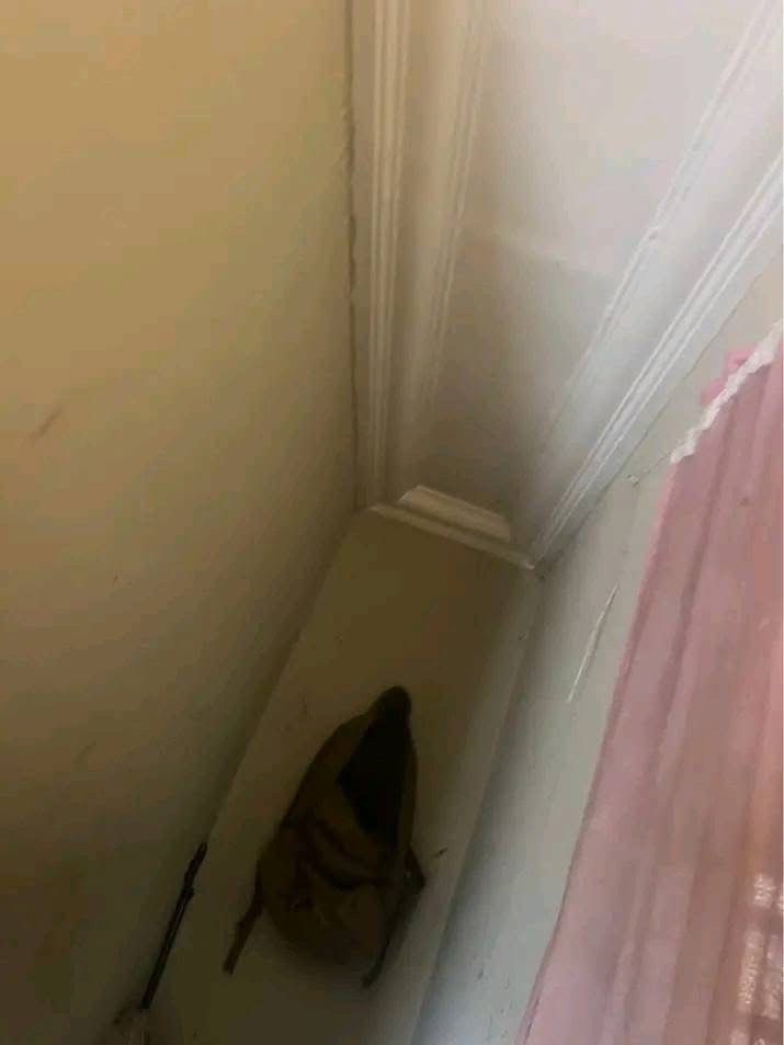 Additional view of Spacious One Room Self-Contain Apartment