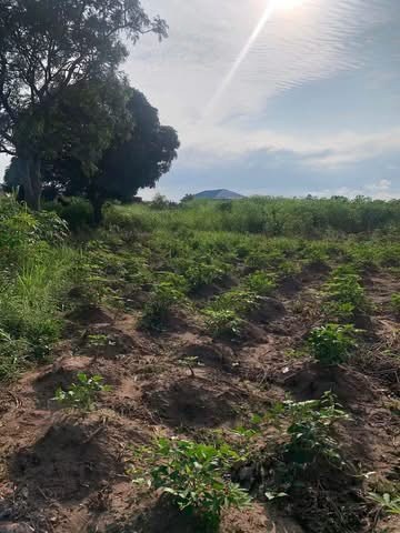 Residential Land Near Welfare Quarters for sale in Welfare Quarters, Makurdi, Benue