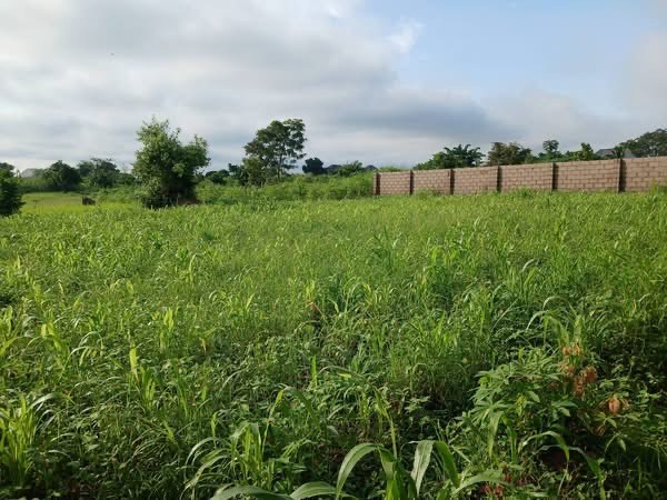 Additional view of Spacious Plot in Welfare Quarters Extension