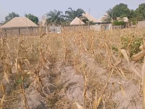 Additional view of 2 Bedroom Flat For Sale Makurdi