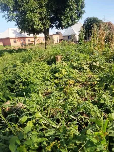 Prime Land for Sale in Makurdi for sale in Welfare Quarters, Makurdi, Benue