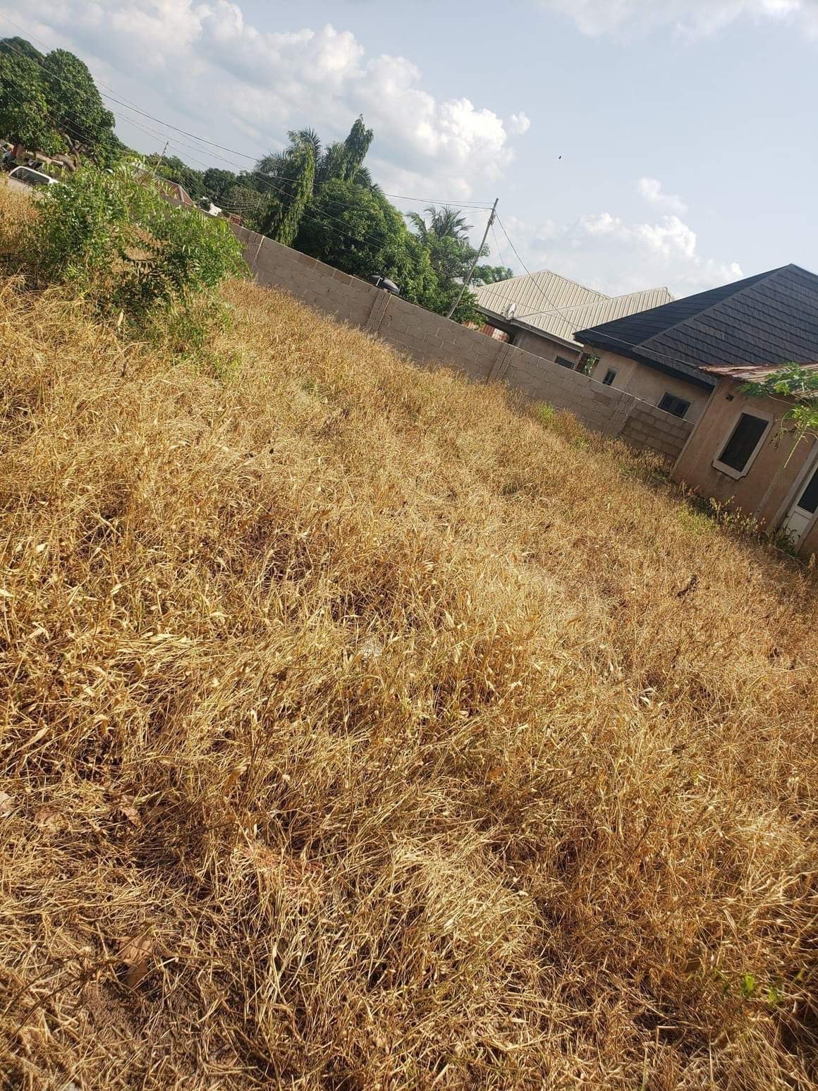 Additional view of Prime Plot at Yaikyo New Road