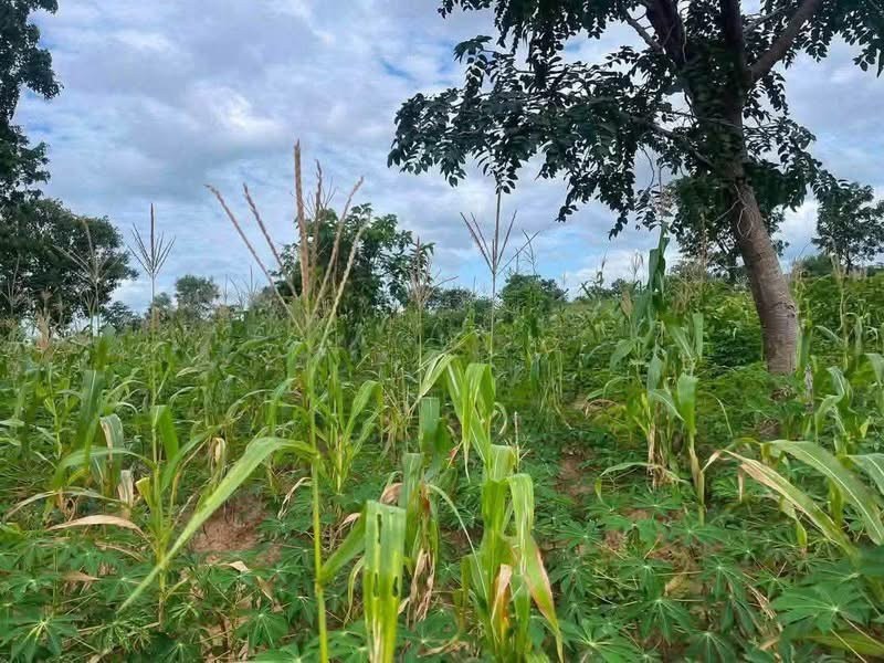 Land at Apir Road for sale in Apir Road, Makurdi, Benue