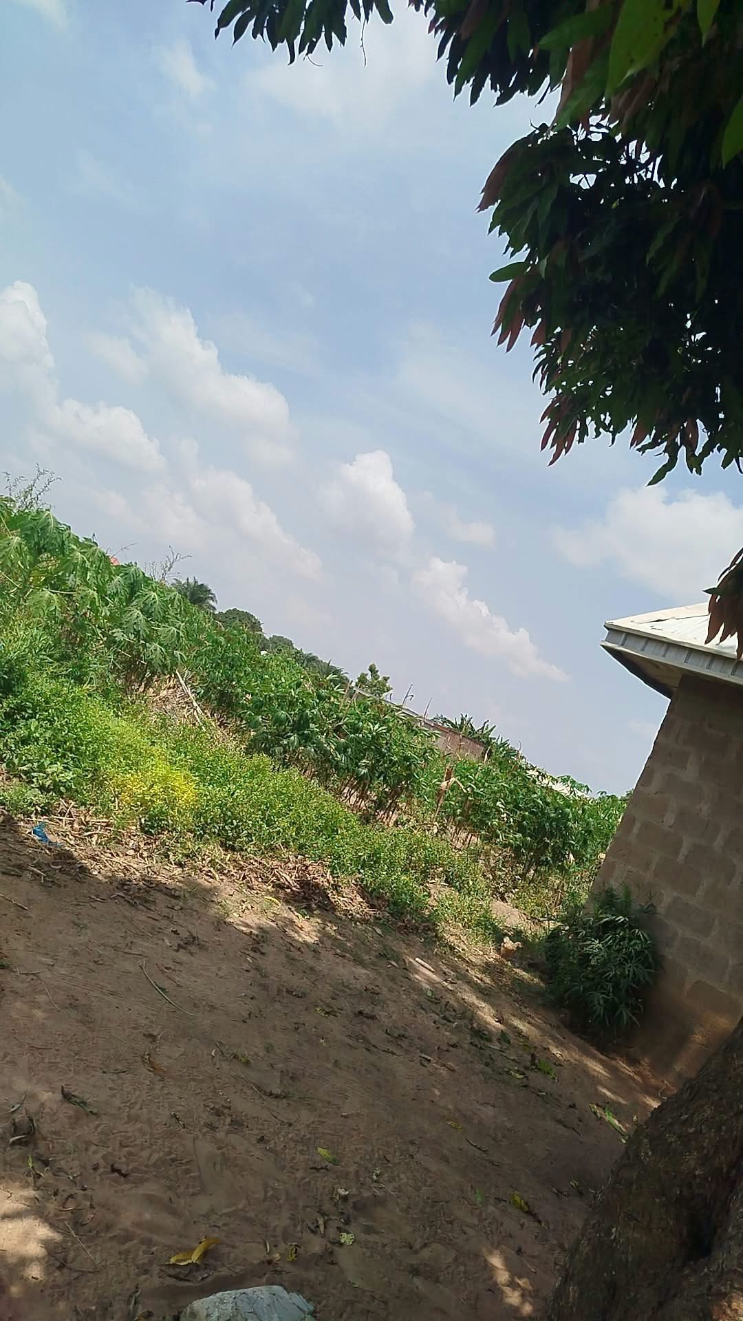 Additional view of 200x100 Plot of Land in Yaikyo