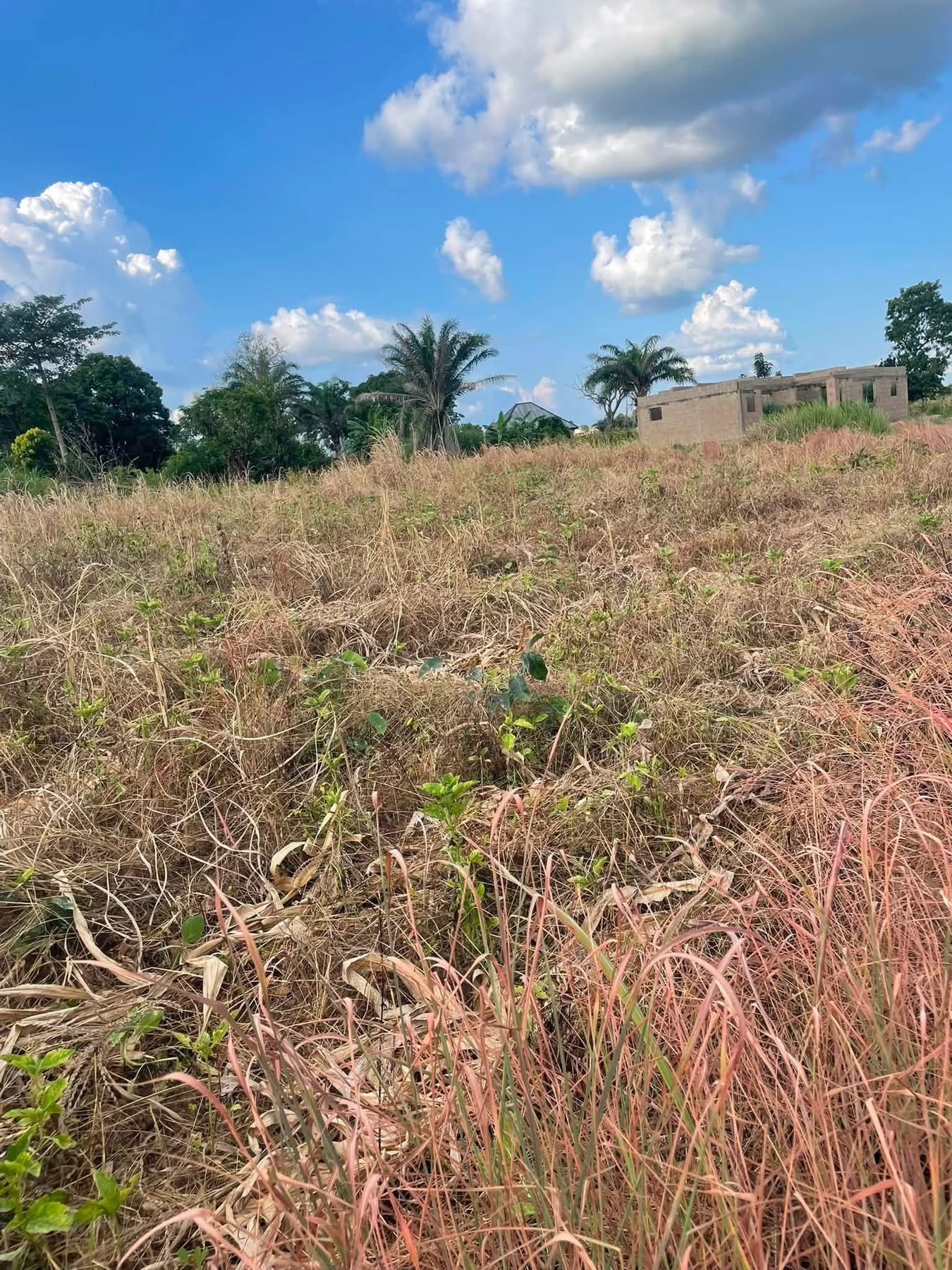 Additional view of Spacious Land Plot Facing Major Road