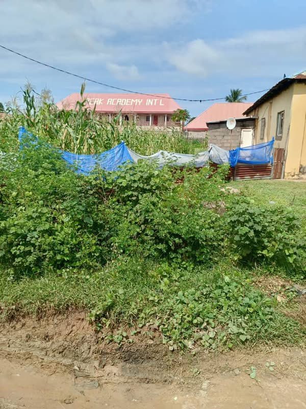 Additional view of Spacious Land in Welfare Quarters