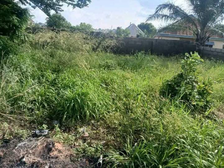 Additional view of Land for Sale, Opposite International Market Makurdi