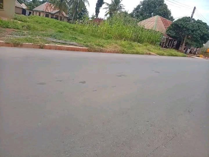Additional view of Multi-Purpose Land Facing Tared Road