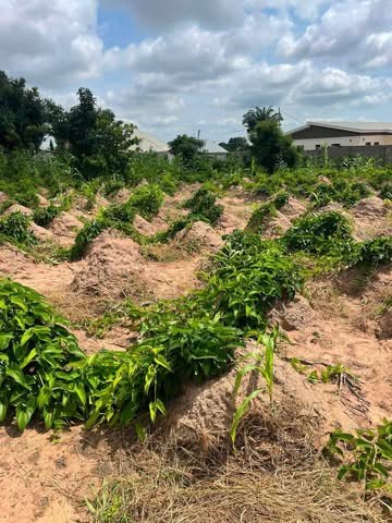 Additional view of Land for Sale
