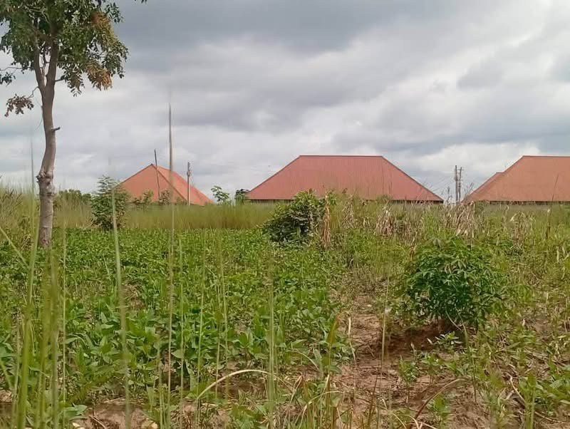 Additional view of 100x100 Plot of Land for Sale