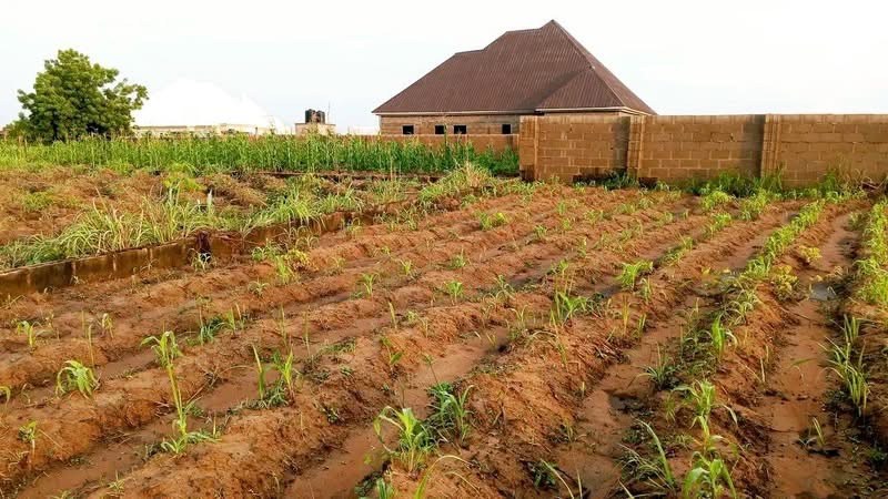 Additional view of Land for Sale in Makurdi